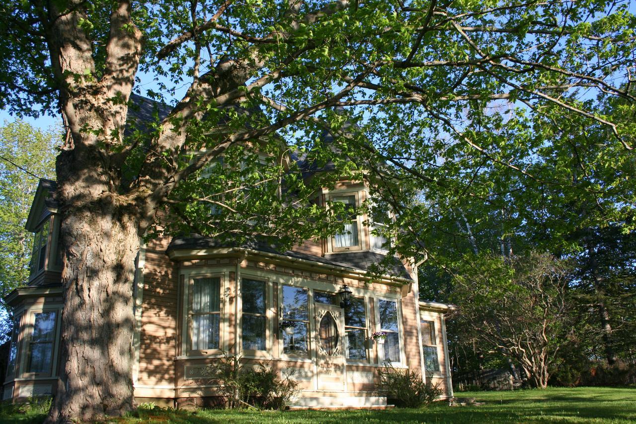 Sackville Bed And Breakfast Exterior foto